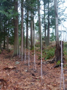 Ropes Course