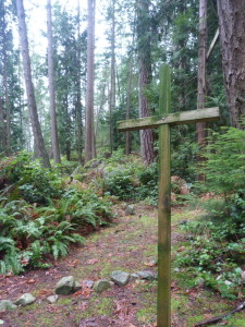 Cross in the Wild