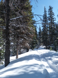 Snowflake Trail