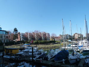 Granville Island Harbour