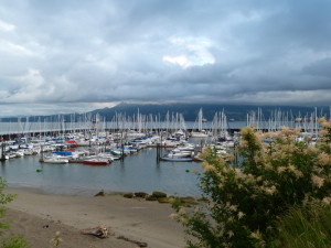 Jericho Yacht Club
