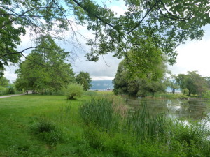 Lacarno Park